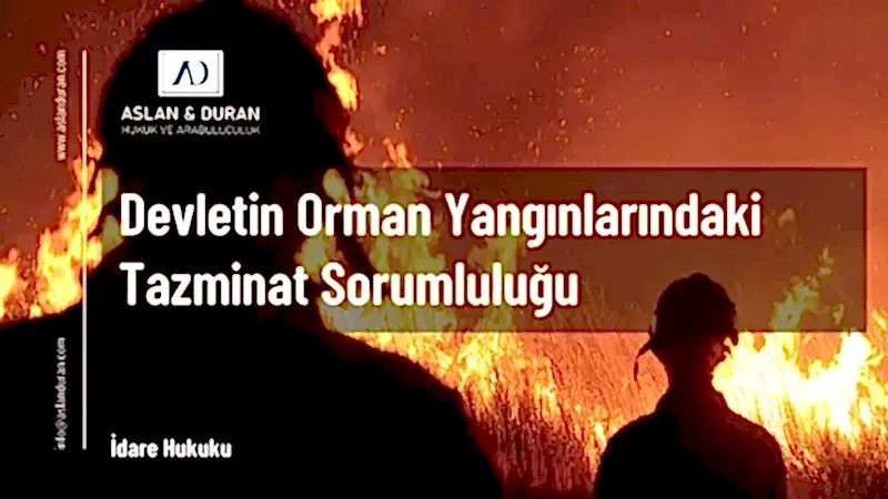 devletin orman yangınlarındaki tazminat sorumluluğu